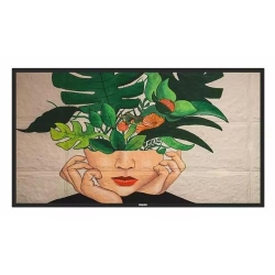 Display Profesional VA LED Philips 54.6