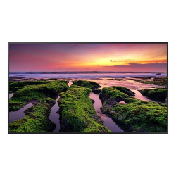 Ecran profesional Samsung QB65B