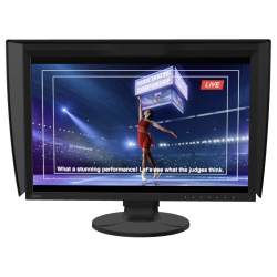 Monitor IPS LED Eizo 24.1